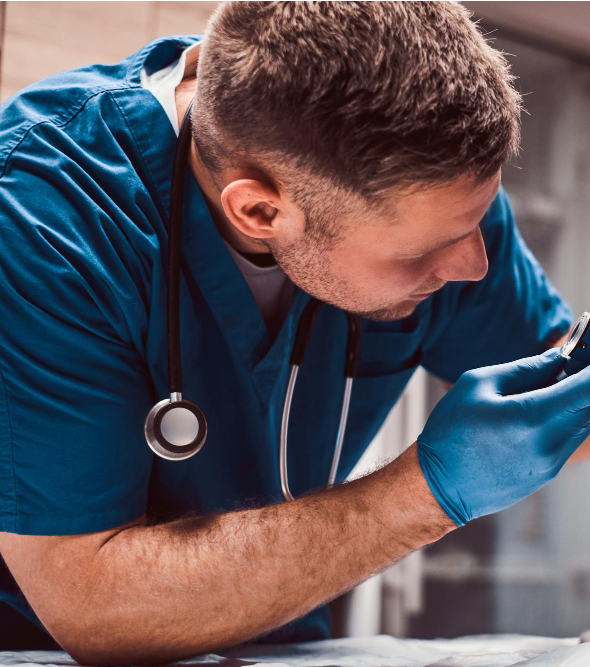 Veterinario atendiendo un gato en santa coloma